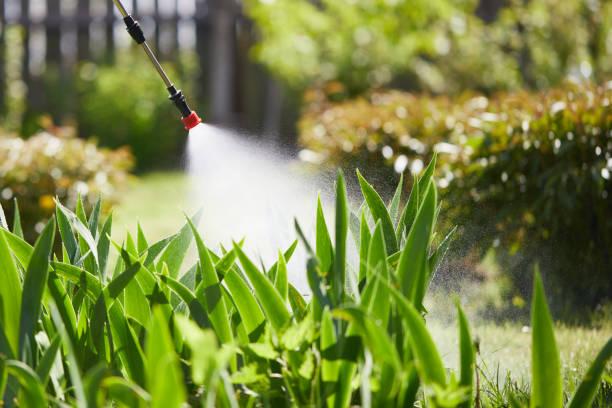 Tamper-Resistant Bait Stations for Rodents in Lewistown