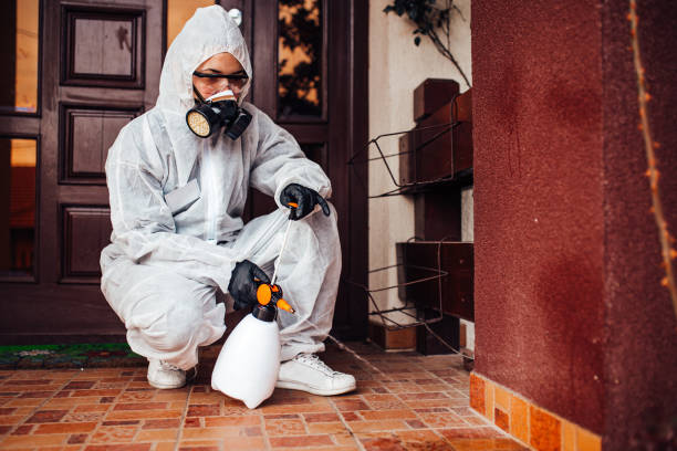 Attic and Crawl Space Rodent Treatment in Lewistown